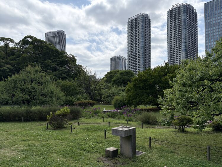 Tokyo | 都市と余白